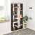 Maxelle Floor Standing Book Shelf, Display Rack