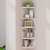 Marvelous 5 Layer Wall Mounted Corner Storage