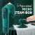 Portable Mini Handheld Garment Steamer Portable Mini Handheld Garment Steamer