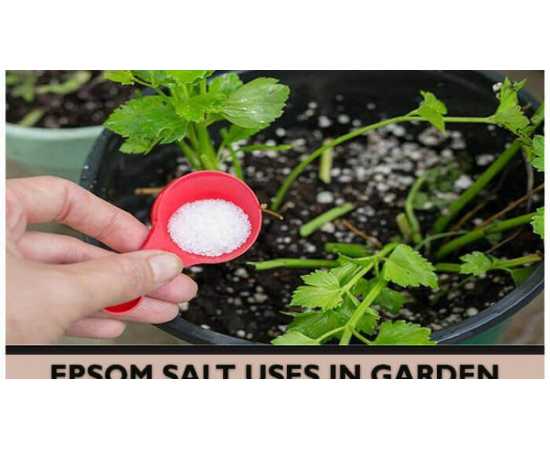 1KG Epsom Salt Natural Mineral Fertilizer/Beauty Health