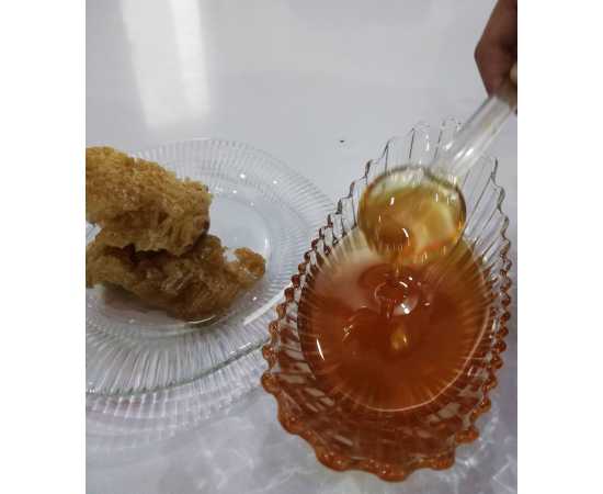 Natural Forest Berry Honey - 500 Gram