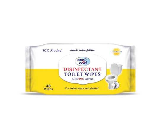Disinfectant Toilet Wipes 48's
