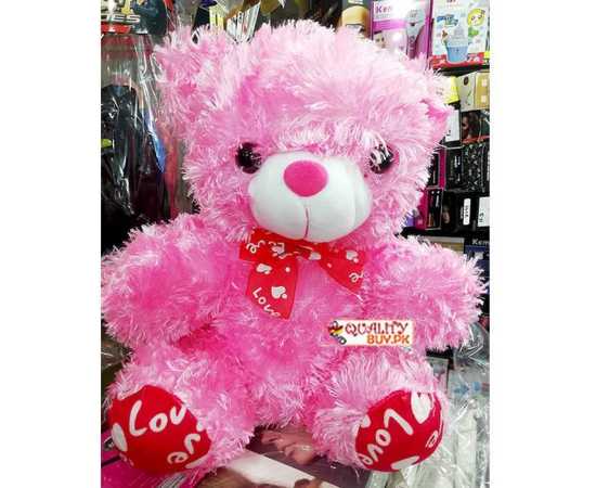 Pink Love Teddy Bear