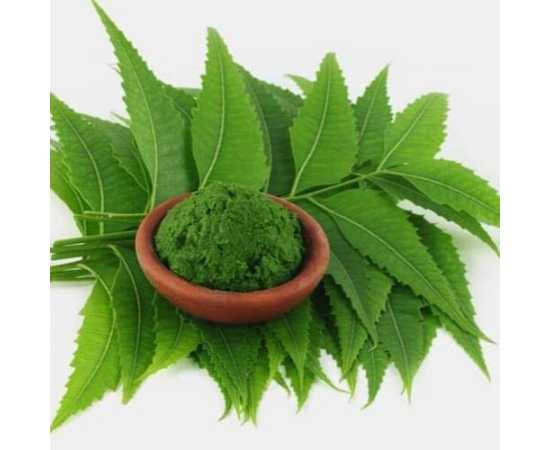 Neem Leaf Powder 100 Gram Neem Powder Premium Quality Fine Powder