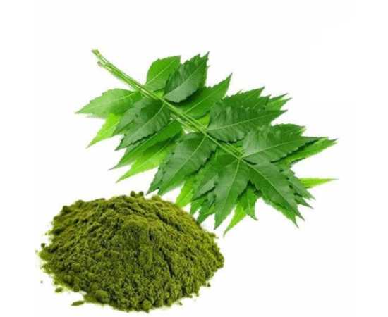 Neem Leaf Powder 100 Gram Neem Powder Premium Quality Fine Powder