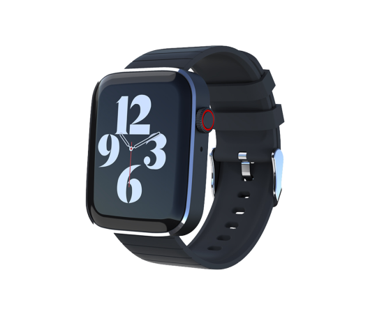 LT-W25 Smart Watch