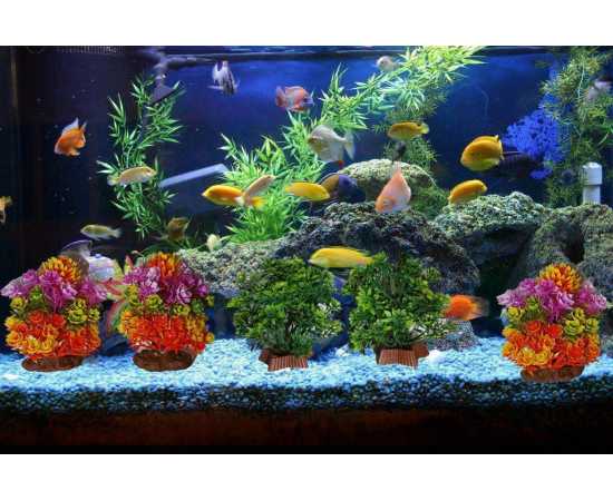 Pack Of 5 Pieces Artificial Underwater Plant Grass With Stone For Aquarium Fish Tank