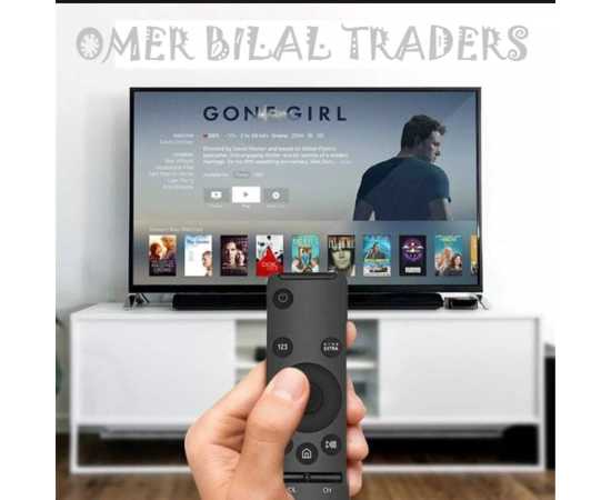 Samsung Smart HD TV Remote Control