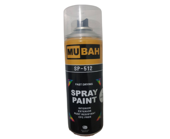 Shiny Cleer Lacquer Paint Spray