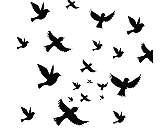 Different Sizes 3D Flying Black Wooden Sparrow For Wall Decor - Pack Of 24 PCS