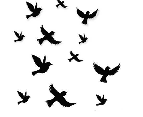 Different Sizes 3D Flying Black Wooden Sparrow For Wall Decor - Pack Of 12 PCS