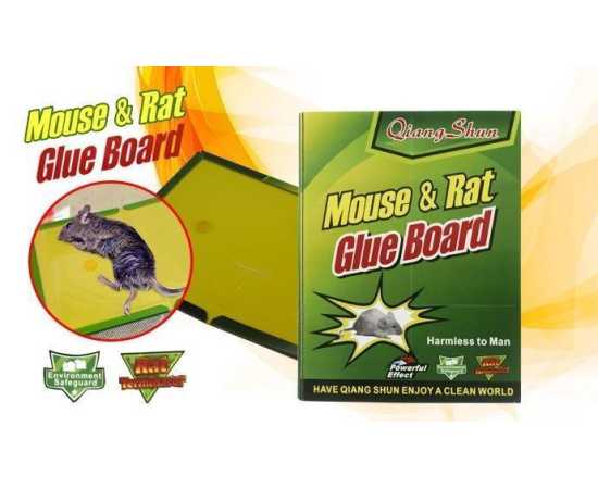 Strong Glue Board Mouse & Rat Trap - Pack Of 5