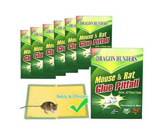 Strong Glue Board Mouse & Rat Trap - Pack Of 5