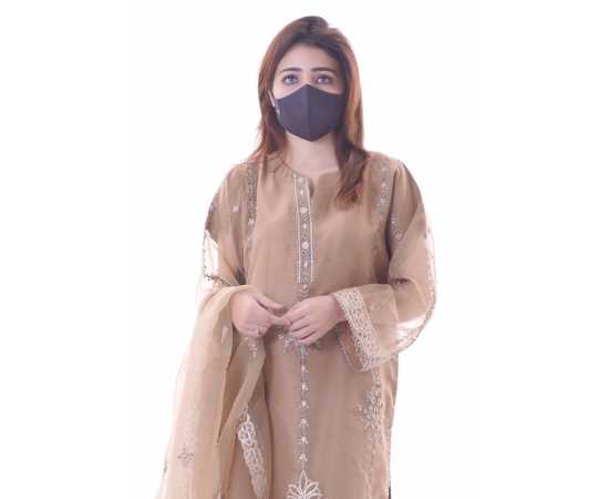 Organza Embroidered Stitched Luxury Formal Three Piece Suit - Light Brown - BAB12 Organza Embroidered Stitched Luxury Formal Three Piece Suit - Light Brown - BAB12