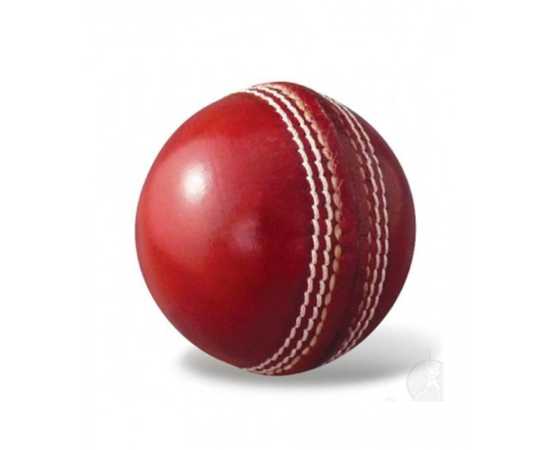 International Cricket Hard Ball 50 Overs - 1 Piece