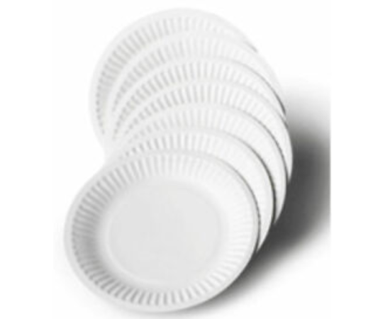 50 PCS Disposable Styrofoam Party Burger Rice Plates Of Medium Size