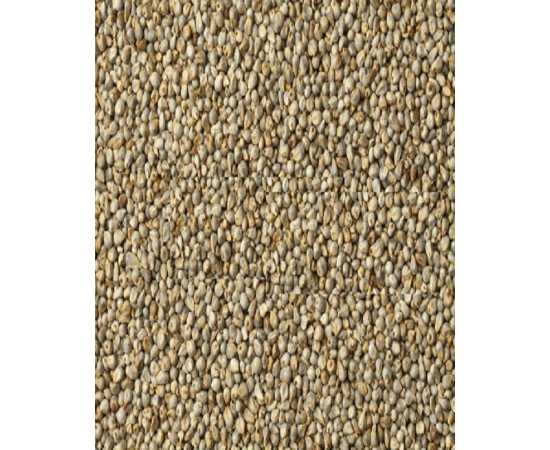 Bajra/Pearl Millet - 5Kg