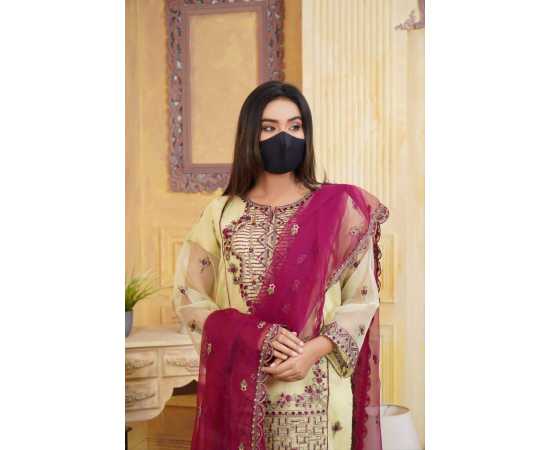 Organza Embroidered Stitched Luxury Formal 3 PCS Suit For Women - Light Green