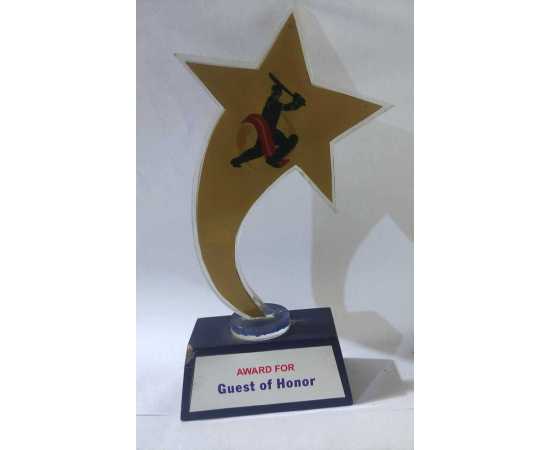 Award For Guest of Honor - 1 Piece