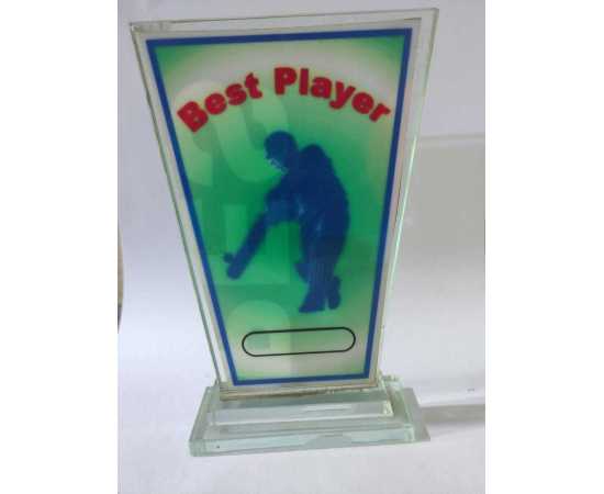 Award For Best Cricket Player - 1 Piece