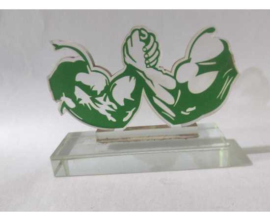 Arm Wrestling Wining Trophy Award - 1 Piece