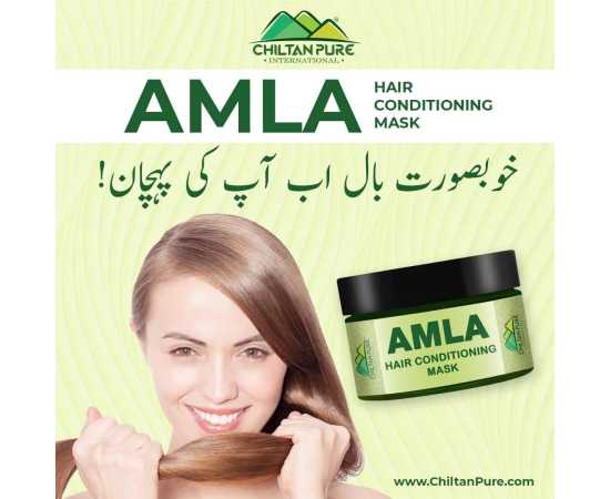 Chiltan Pure Amla Hair Conditioning Mask