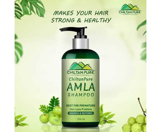 Chiltan Pure Amla Shampoo For Strong Hair