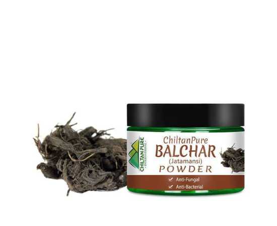 Chiltan Pure Balchar (Jatamansi) Hair Powder - 50G