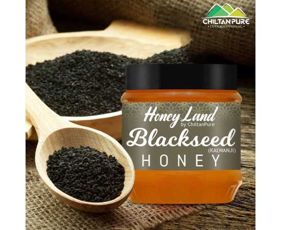 Chiltan Pure Blackseed Honey For Strengthen Heart- 450G