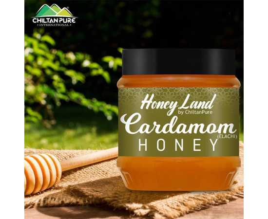 Chiltan Pure Cardamom Honey For Activates Metabolism & Reduces Stress - 450G