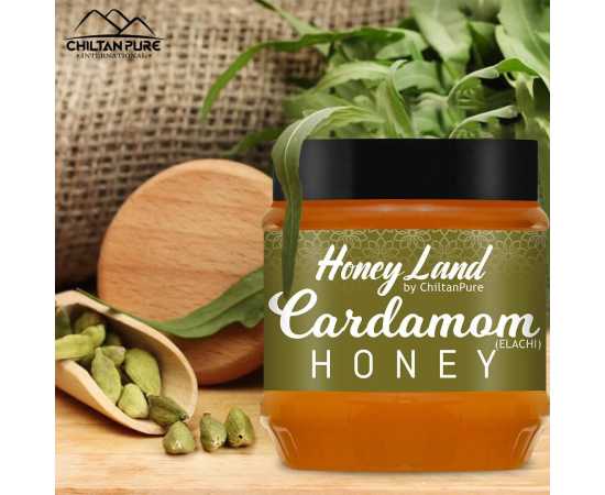 Chiltan Pure Cardamom Honey For Activates Metabolism & Reduces Stress - 450G