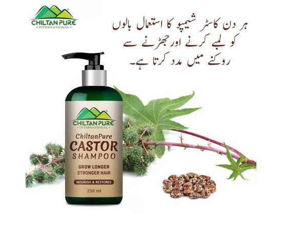 Chiltan Pure Castor Shampoo For Helps Moisturize & Regrow Healthy Hair - 250ML