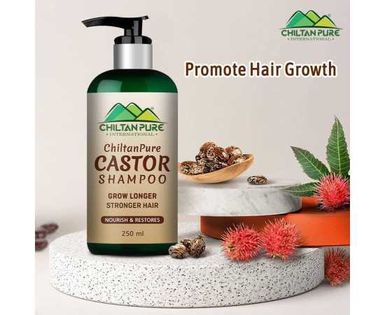 Chiltan Pure Castor Shampoo For Helps Moisturize & Regrow Healthy Hair - 250ML