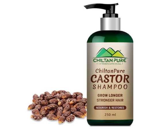 Chiltan Pure Castor Shampoo For Helps Moisturize & Regrow Healthy Hair - 250ML