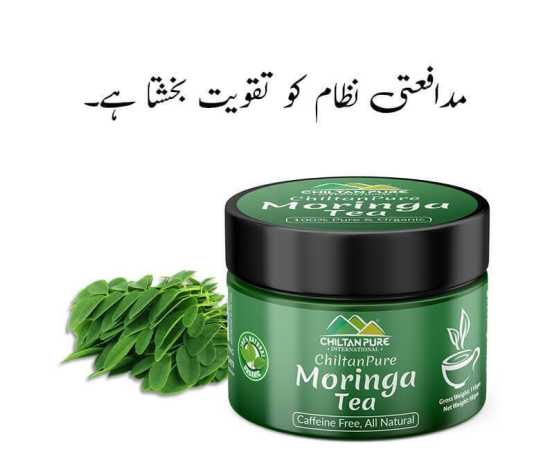 Chiltan Pure Moringa Tea For Fat Loss & BP ControlChiltan Pure Moringa Tea For Fat Loss & BP Control