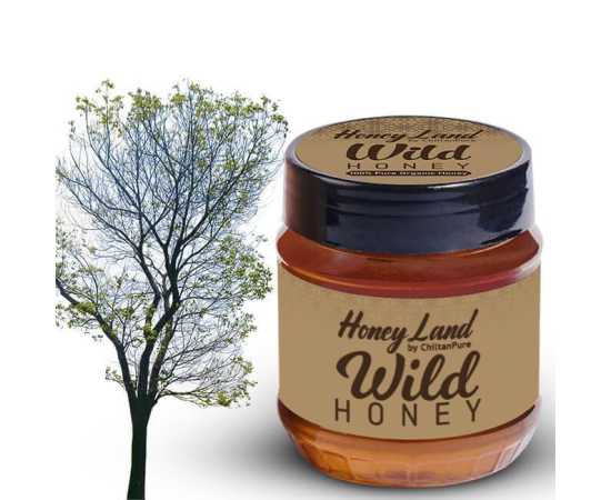 Chiltan Pure Wild Mountainous Honey