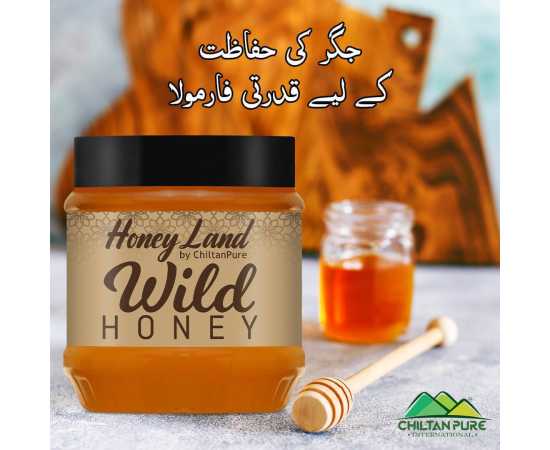 Chiltan Pure Wild Mountainous Honey