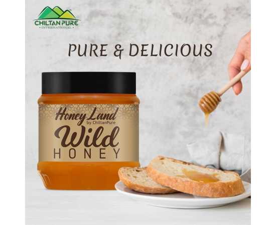 Chiltan Pure Wild Mountainous Honey