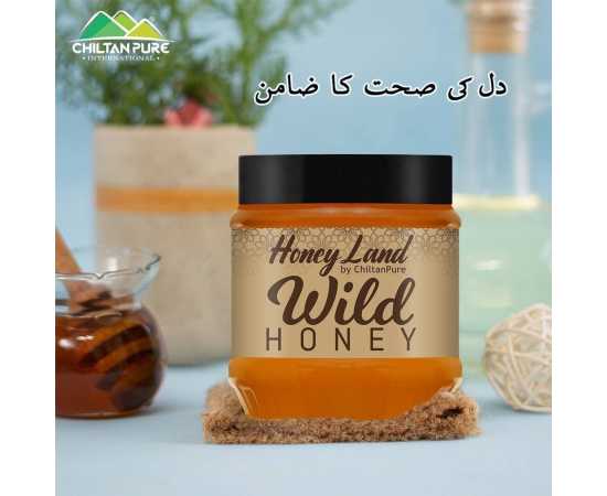 Chiltan Pure Wild Mountainous Honey