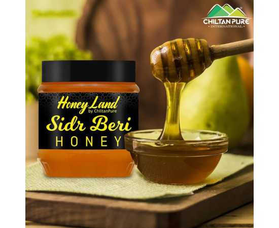 Chiltan Pure Beri Honey - Good for Immune System