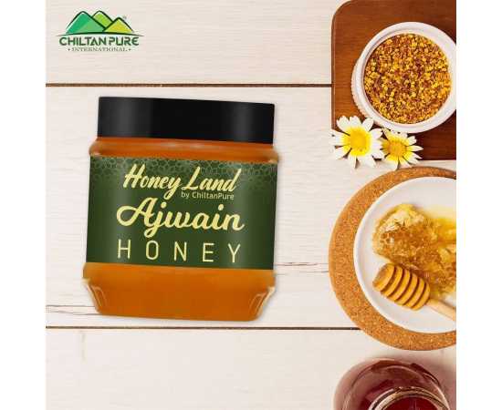 Chiltan Pure Organic Ajwain Honey