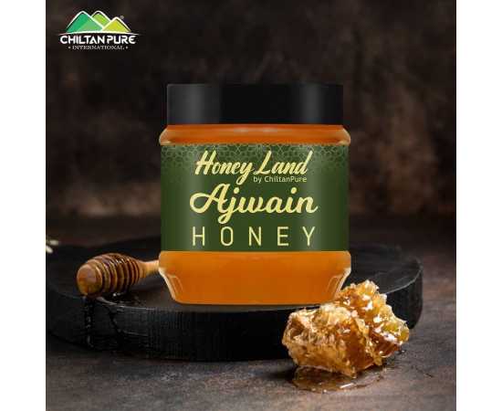 Chiltan Pure Organic Ajwain Honey