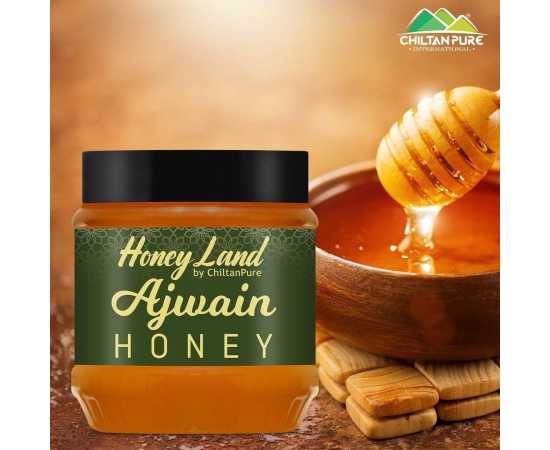 Chiltan Pure Organic Ajwain Honey