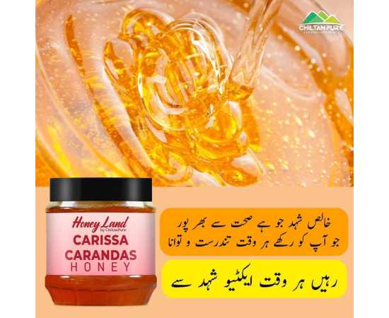 Carissa Carandas Honey - Reduce Stress 450 Gram