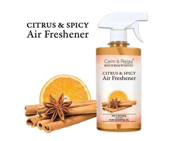 Citrus & Spicy Air Freshener - Eliminate Unpleasant Odours