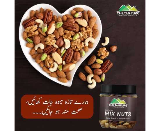 Chiltan Pure Mix Dry Fruit - 180G