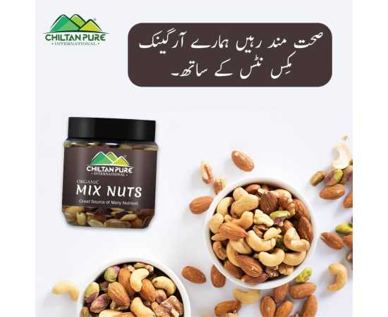Chiltan Pure Mix Dry Fruit - 180G