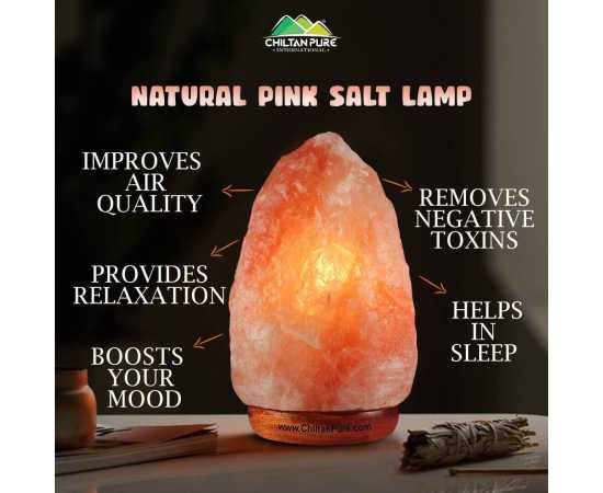 Natural Large Decorative Pink Salt Lamp