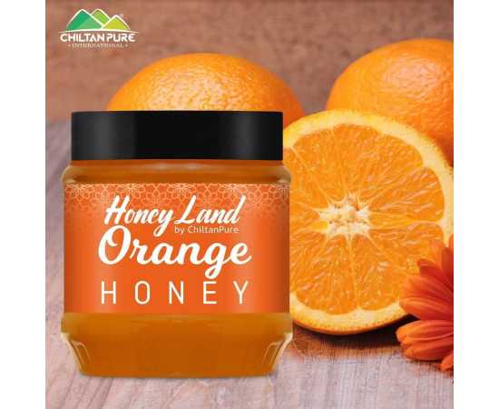 Orange Honey - 450 Gram