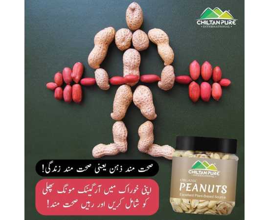 Chiltan Pure Peanuts Nuts Jar - 160G